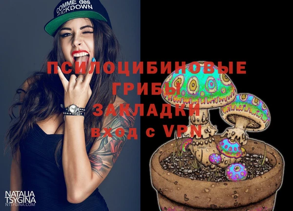 сатива Алексеевка