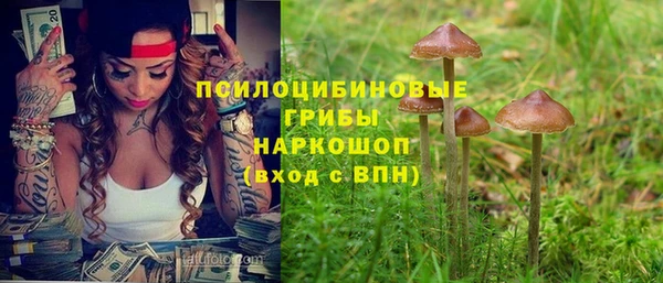 сатива Алексеевка