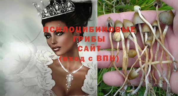 сатива Алексеевка
