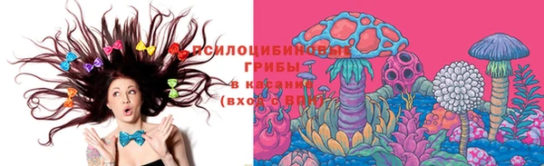сатива Алексеевка